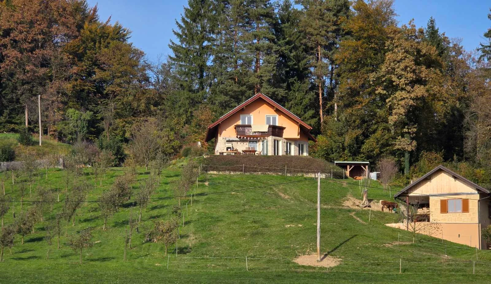 Hiša kmetije Brbonov grič na griču nad mladim sadovnjakom v Založah pri Polzeli